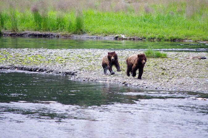 Ketchikan Kayak Eco-Tour - Key Points Before You Book