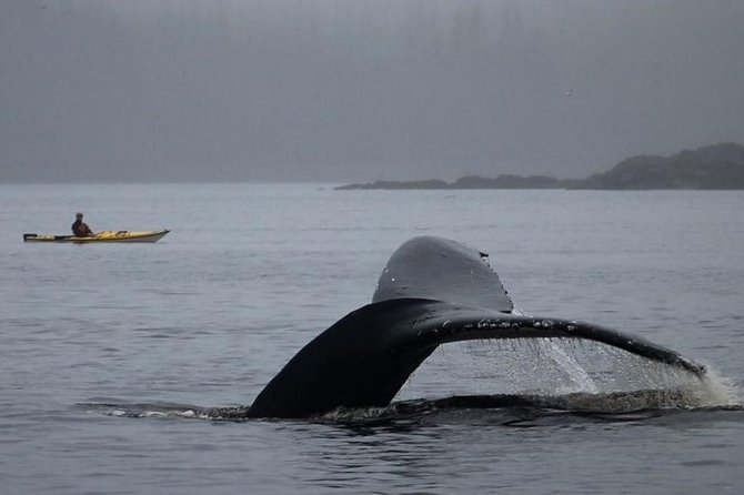 Ketchikan Kayak Eco-Tour - Gearing Up for Ketchikan’s Rain