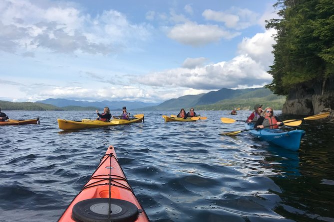 Ketchikan Kayak Eco-Tour - What Four Hours Really Includes