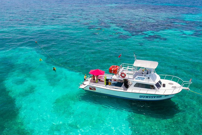Key Largo Snorkeling Tour - rental mask, fins and vest INCLUDED - Equipment, safety, and the missing snorkel