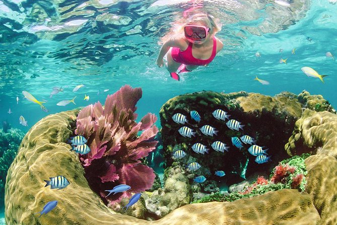 Key Largo Snorkeling Tour - rental mask, fins and vest INCLUDED - What the boat ride is really like
