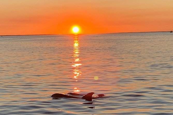 Key Largo Sunset Cruise - Key points at a glance