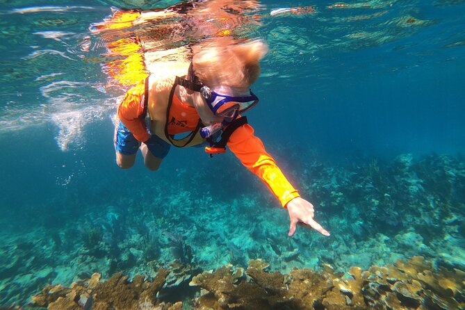 Key Largo Two Reef Snorkel Tour - All Snorkel Equipment Included! - Grecian Rocks and the second 45-minute swim