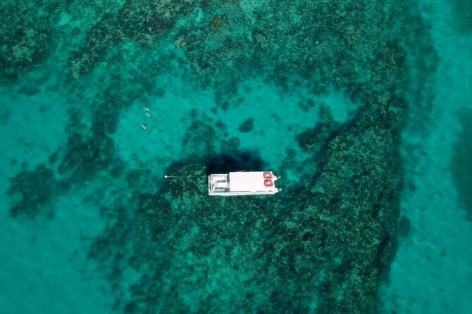 Key Largo Two Reef Snorkel Tour - All Snorkel Equipment Included! - What is included for your $78