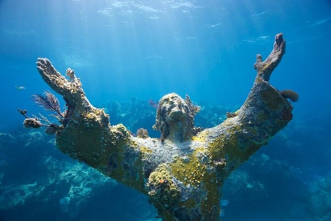 Key Largo Two Reef Snorkel Tour - All Snorkel Equipment Included! - Weather, visibility, and realistic expectations