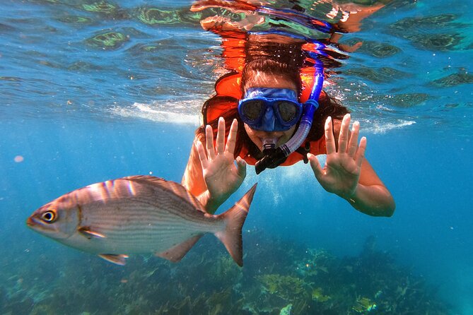 Key Largo Two Reef Snorkel Tour - All Snorkel Equipment Included! - The boat ride and the first reef