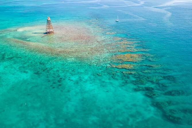 Key West Afternoon Reef Snorkeling with Open Bar - Leaving From 201 William Street