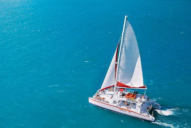 Key West Afternoon Reef Snorkeling with Open Bar - Getting Back Onto the Sandie Cat