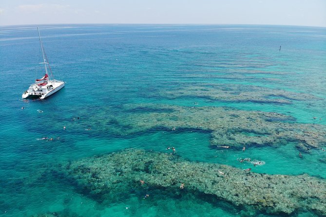Key West Afternoon Reef Snorkeling with Open Bar - The Open Bar Starts After the Swim