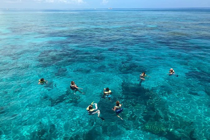 Key West Afternoon Reef Snorkeling with Open Bar - Who Will Like This Trip Most