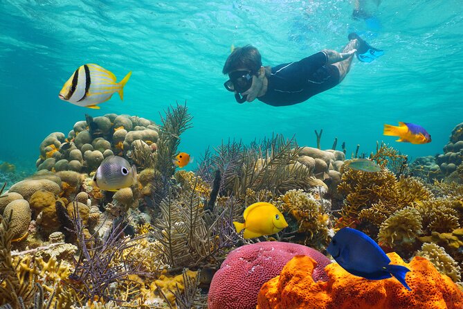 Key West Afternoon Reef Snorkeling with Open Bar - One Reef Stop, With About an Hour in the Water