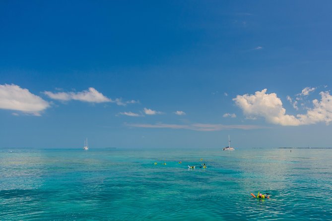 Key West Afternoon Snorkel Sail with Unlimited Cocktails! - The $59 question: is the value there?