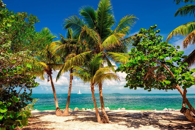 Key West Day Trip from Miami with Activities - How to spend six hours without feeling rushed