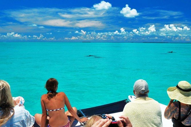Key West Day Trip from Miami with Activities - Arriving at 908 Caroline Street