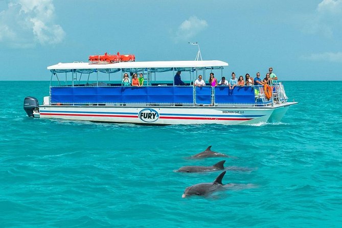 Key West Dolphin Watch and Snorkel Tour - Eco Adventure - What this three-hour Key West outing is really like