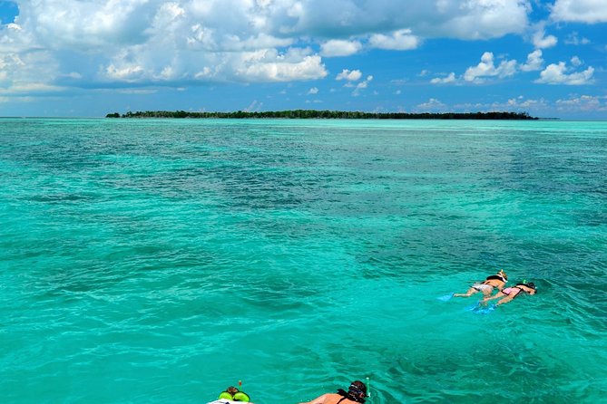 Key West Dolphin Watch and Snorkel Tour - Eco Adventure - The Gulf backcountry snorkeling stop