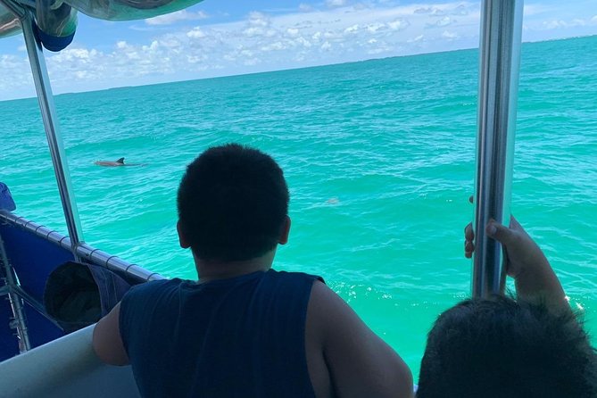 Key West Dolphin Watch and Snorkel Tour - Eco Adventure - Instruction and equipment for first-time snorkelers