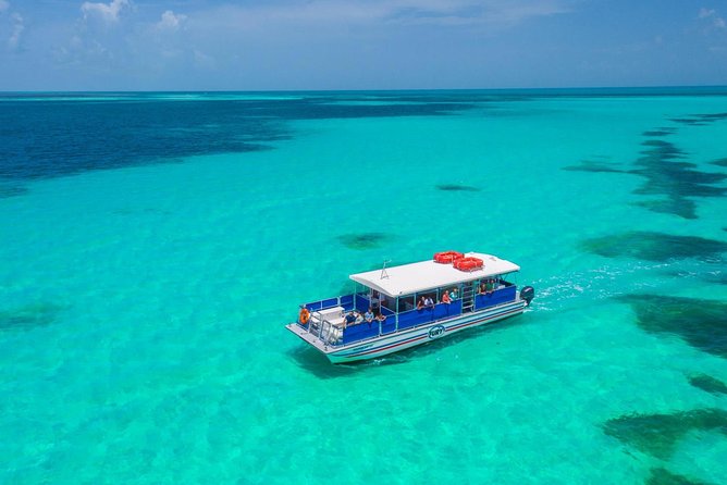 Key West Dolphin Watch and Snorkel Tour - Eco Adventure - The crew is a major part of the value