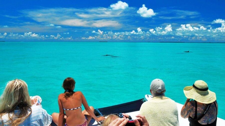 Key West: Dolphin Watching and Snorkeling Eco Cruise Tour - Key points at a glance