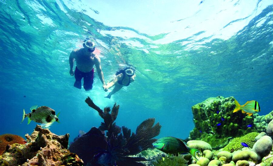 Key West: Dolphin Watching and Snorkeling Eco Cruise Tour - Snorkeling in the Key West Wildlife Refuge