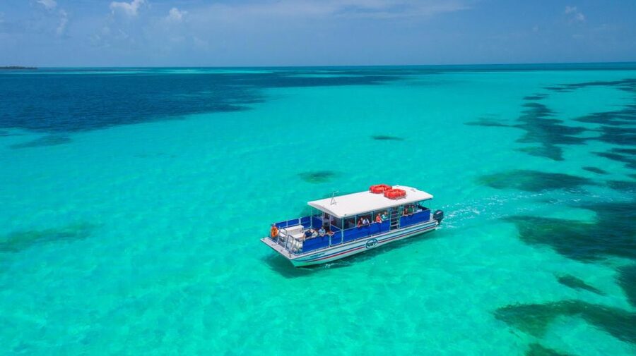 Key West: Dolphin Watching and Snorkeling Eco Cruise Tour - Why the crew makes such a difference