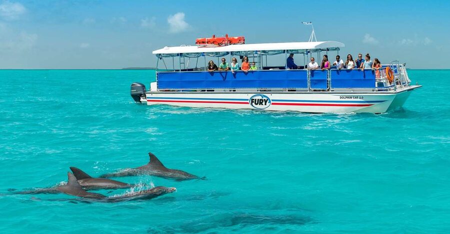 Key West: Dolphin Watching and Snorkeling Eco Cruise Tour - Is $79 a fair price?