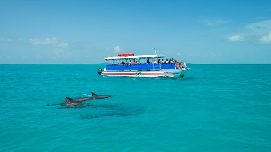 Key West: Dolphin Watching and Snorkeling Eco Cruise Tour - Who should book this cruise?