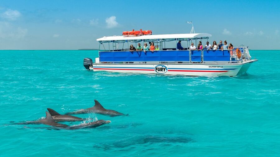 Key West: Dolphin Watching and Snorkeling Eco Cruise Tour - The Gulf cruise and the search for dolphins