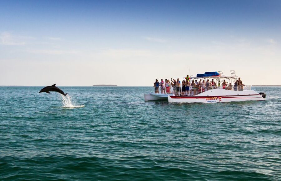 Key West: Dolphin Watching and Snorkeling Sunset Cruise - Should You Book the Key West Sunset Dolphin Cruise?