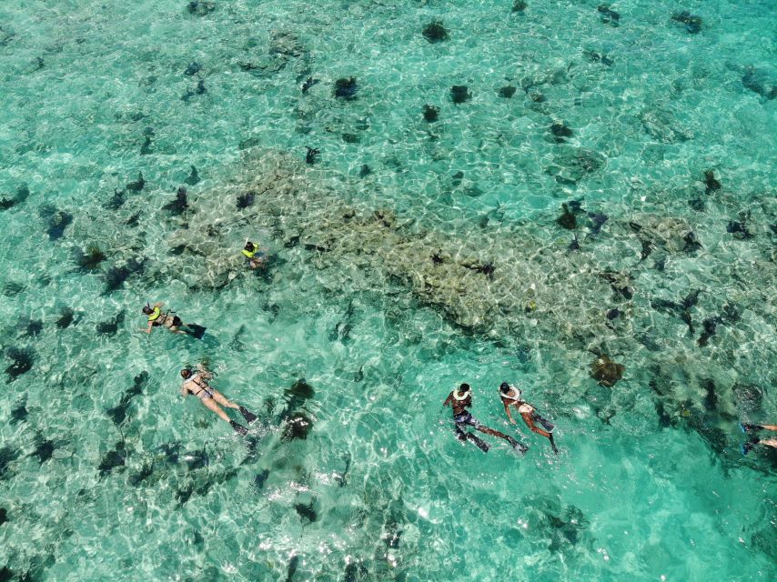 Key West: Dolphin Watching and Snorkeling Sunset Cruise - Looking for Dolphins in Their Natural Playground