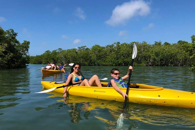 Key West Mangrove Kayak Eco Tour - What makes this Key West kayak tour worthwhile