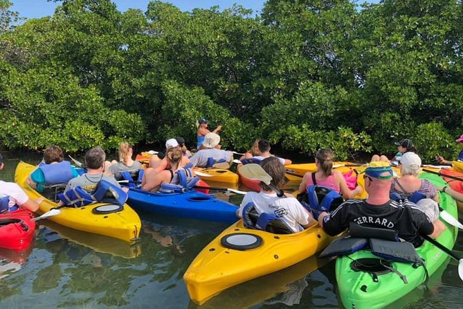 Key West Mangrove Kayak Eco Tour - Following the mangrove creeks