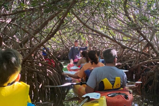 Key West Mangrove Kayak Eco Tour - Choosing between a single and double kayak