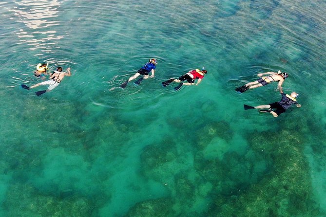 Key West Reef Morning Snorkeling with Breakfast and Mimosas - Snorkeling instruction and equipment