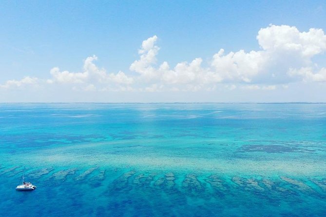Key West Reef Morning Snorkeling with Breakfast and Mimosas - What rough weather can change