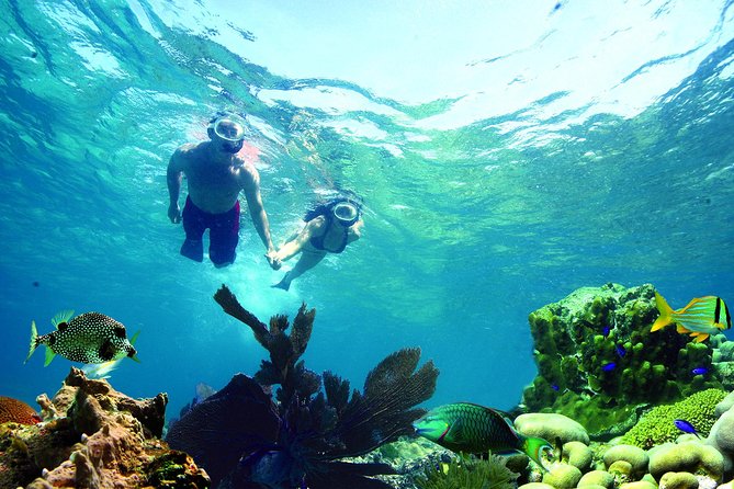 Key West Reef Snorkel – Morning Mimosas or Afternoon Margaritas - Setting out from Opal Key Marina