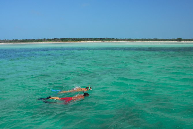 Key West Reef Snorkel – Morning Mimosas or Afternoon Margaritas - Who should book this Key West snorkel?