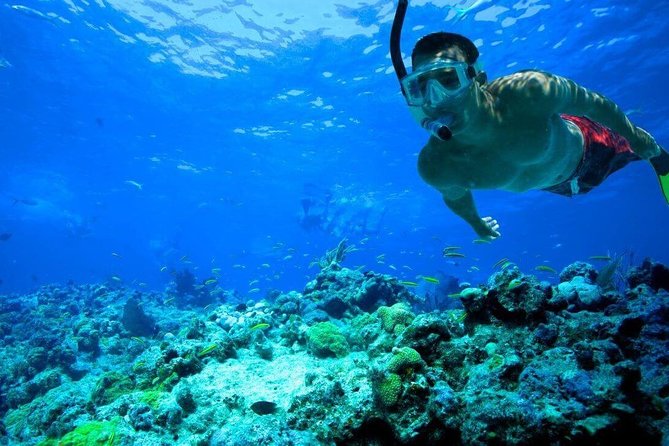 Key West Reef Snorkel – Morning Mimosas or Afternoon Margaritas - Practical packing advice for the boat