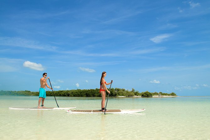Key West's Island Adventure Sandbar Tour with Kayaking - What $119.95 gets you