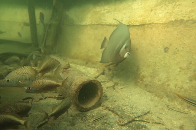 Key West SNUBA Experience - Reaching the reef, and the great uncertainty of conditions