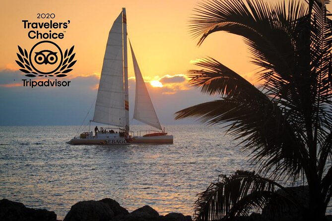 Key West Sunset Sail: Dolphin Watching, Wine, and Tapas - Tapas, shrimp cocktail, and drinks onboard