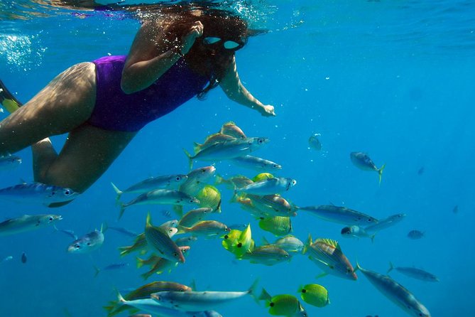 Ko Olina Catamaran Sail and Snorkel with Lunch - Snorkeling among fish and reef life