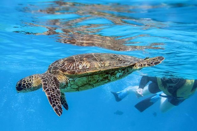 Ko Olina Catamaran Sail and Snorkel with Lunch - Who will enjoy this Ko Olina cruise