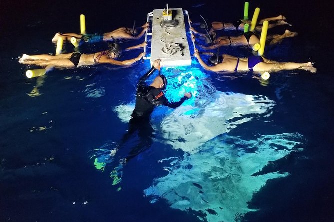KONA Manta Ray Night Snorkel - FREE re-ride if no Sightings - Key points before you book