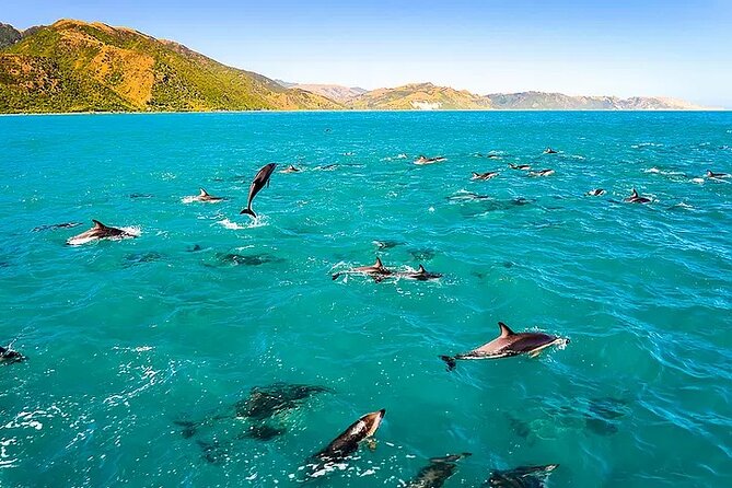 Kona Snorkel Tour: Captain Cook Reef Snorkel, Dolphin & Sea Caves - Reaching Captain Cook Monument and Kealakekua Bay