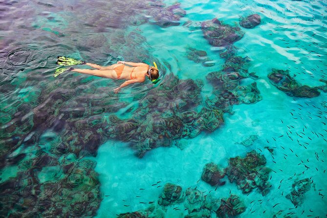 Kona Snorkel Tour: Captain Cook Reef Snorkel, Dolphin & Sea Caves - The crew and the feel of the outing