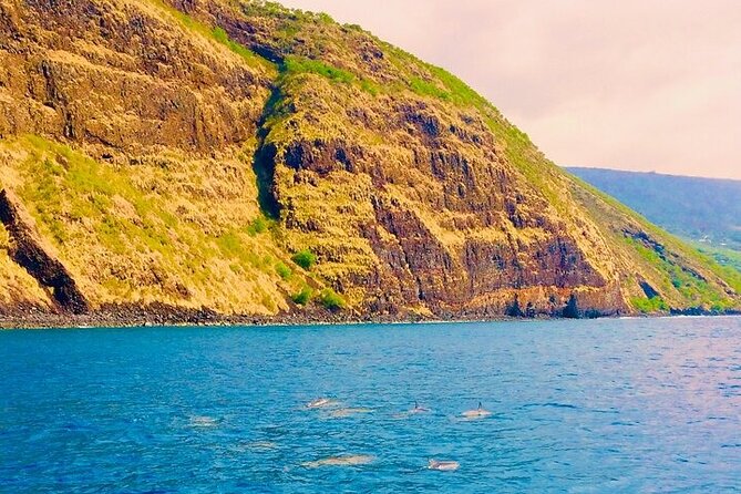Kona Snorkel Tour: Captain Cook Reef Snorkel, Dolphin & Sea Caves - Who will like this tour most