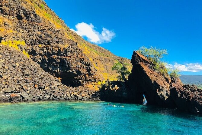 Kona Snorkel Tour: Captain Cook Reef Snorkel, Dolphin & Sea Caves - Is $71.10 a fair price?