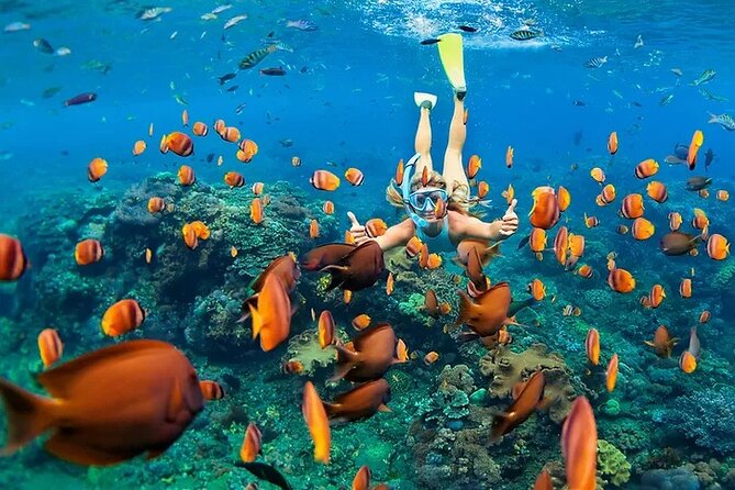 Kona Snorkel Tour: Captain Cook Reef Snorkel, Dolphin & Sea Caves - Sea caves, lava tubes, and the Kona shoreline