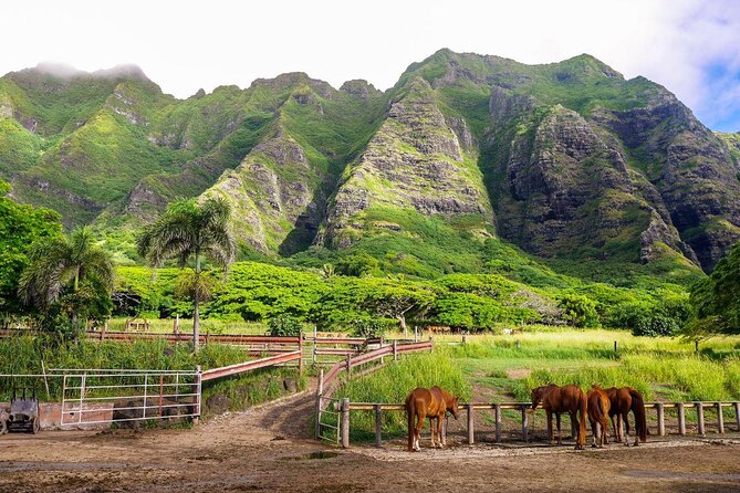 Kualoa Ranch: Jungle Expedition Tour - Key points to know before you go
